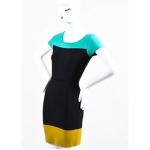 NWOT BCBG Max Azria Cir Block Dress